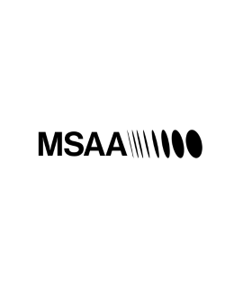Mediterranean Screen Arts Academy (MSAA)