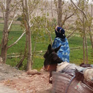 Morocco Tourism Image 2