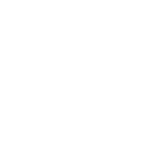 icon1