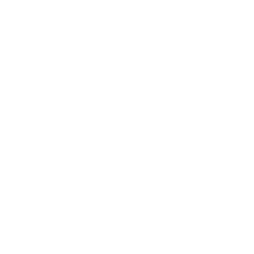 icon1